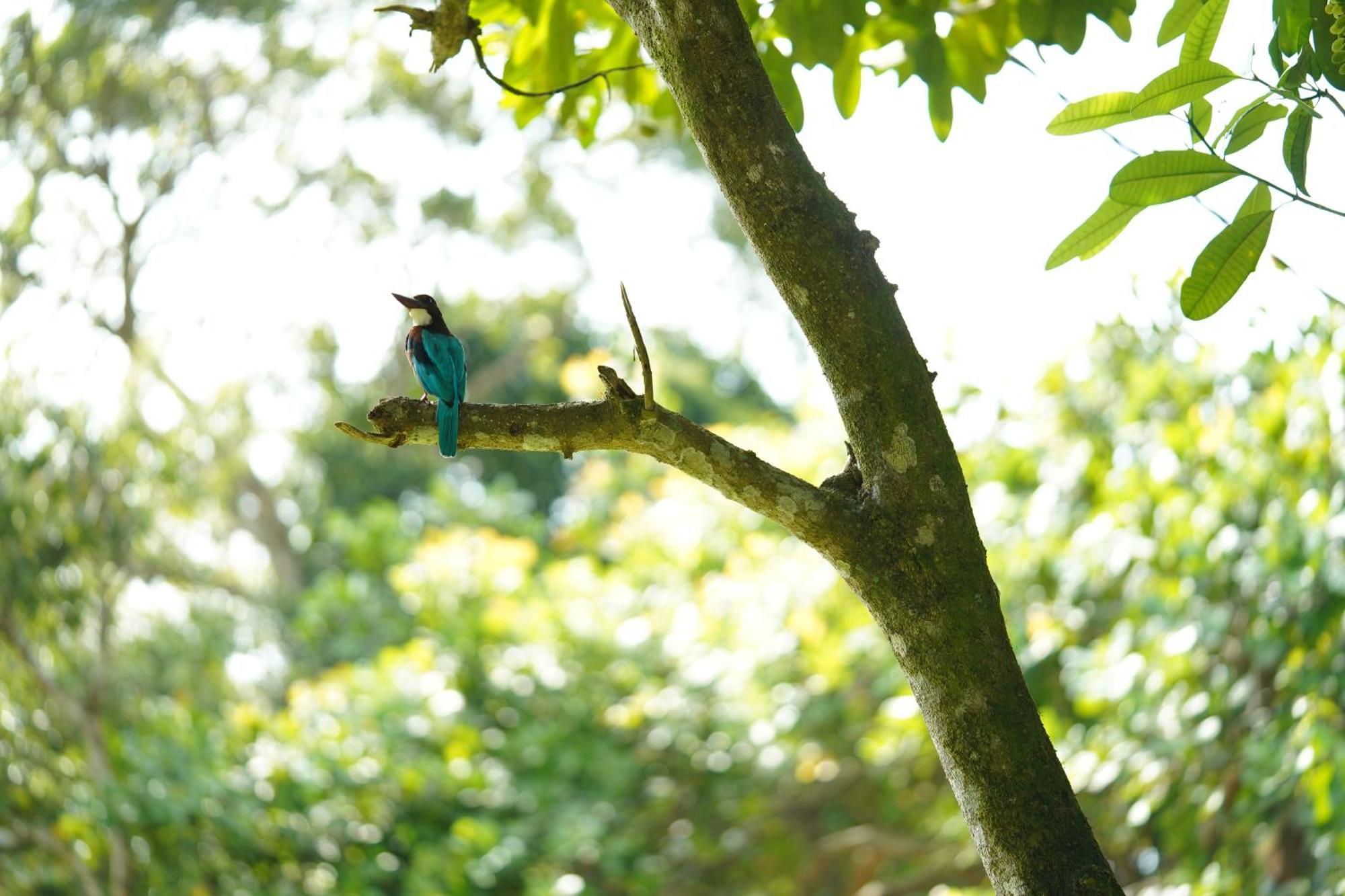 Lake Resort Bolgoda Wadduwa Bagian luar foto